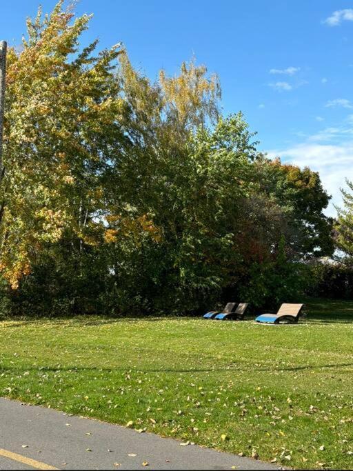 Cozy Spacious Work Friendly Lotus With Garden View High Speed Free Wi Fi And Parking Adjacent To Downtown Montreal Exterior photo